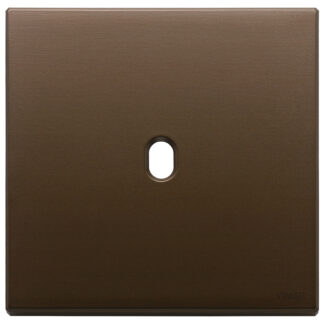 VIW22672.1.12 Placca 2Mx1 Vintage bronzo scuro spazz.