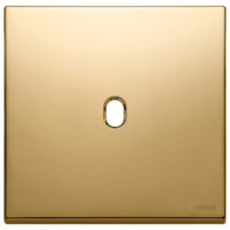 VIW22672.1.82 Placca 2Mx1 Vintage oro