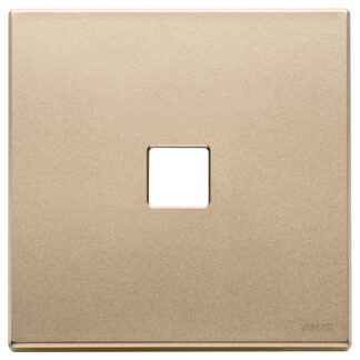 VIW22682.1.88 Placca 2Mx1 Flat oro satinato