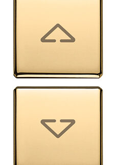 VIW22751.2.82 Due tasti Flat simboli frecce oro