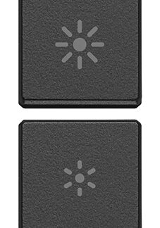 VIW22751.3.03 Due tasti Flat regolazione grigio