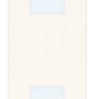 VIW30388.B Doppia spia diffusore neutro bianco