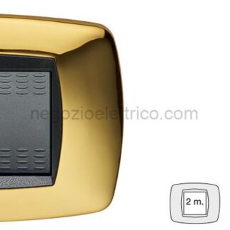 MST39TC212 MODO Placca 2 Posti OTTONE