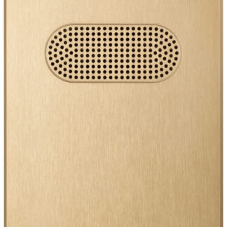 VIW41601 Placca Patavium 2F+ audio 1 puls. ottone