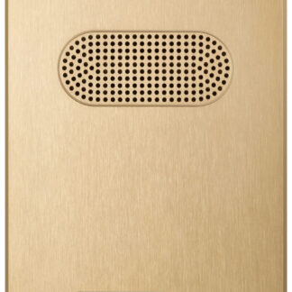 VIW41602 Placca Patavium 2F+ audio 2 puls. ottone