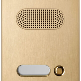 VIW41603 Placca Patavium 2F+ audio 3 puls. ottone