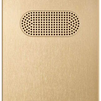 VIW41622 Placca Patavium 2F+ A/V 2 puls. ottone