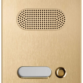 VIW41623 Placca Patavium 2F+ A/V 3 puls. ottone