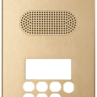 VIW41641 Placca Patavium 2F+ A/V tastiera ottone