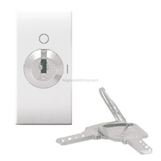 AVE441071 interrutt. chiave 2p 10ax domus 1m
