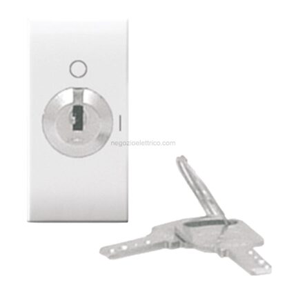 AVE441071 interrutt. chiave 2p 10ax domus 1m