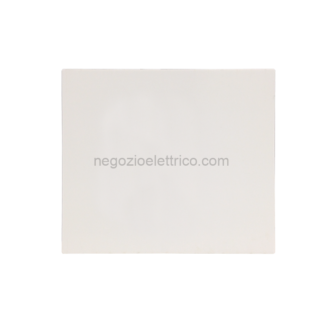 COE6711WS placca adattamento ridotta mini cornetta