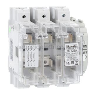 LOVGE0125F SEZION.3P CON PORTAF.NFC22X58 AC21A 125A