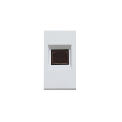 AVE45524 presa telefonica rj11 4 pins ral
