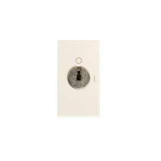 AVE45973 interrutt.2p 16a con chiave blanc