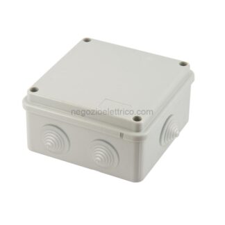 MSTM03100 Cas.Der.100x100x50 IP55 c/Viti c/pas