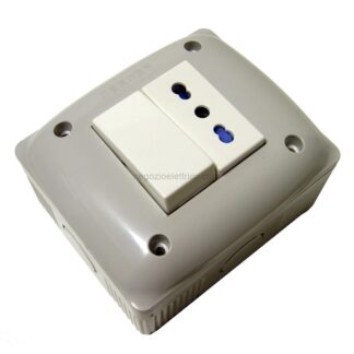 MSTS42059-03 MIXBOX IP40 2m. deviatore + presa bival.