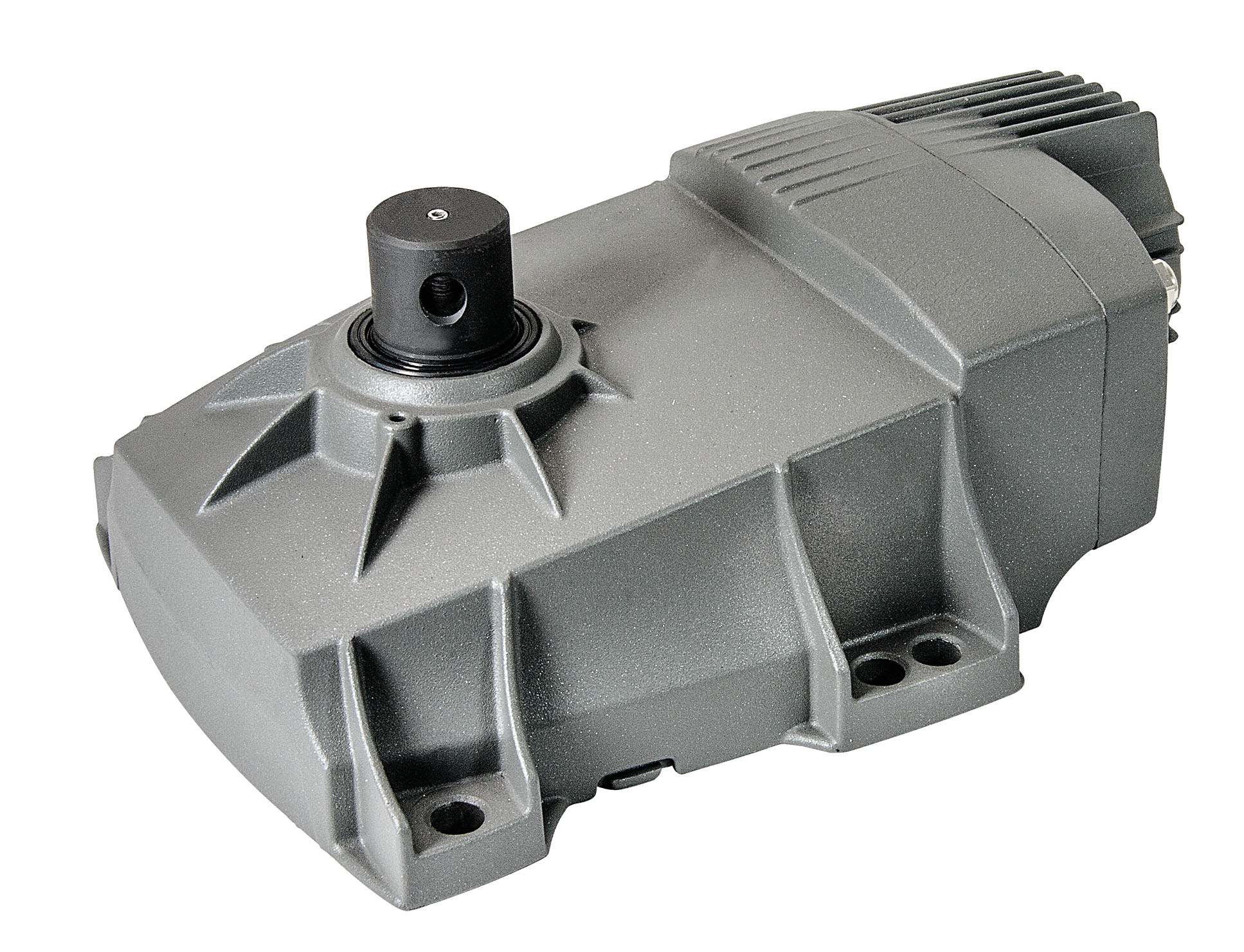 VIWEIM2.24 HIDDY 350D attuatore interrato 24V 3,5m