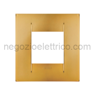 GEWGW16422MO PLACCA GEO INT.2P ORO