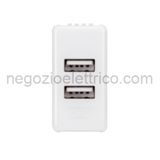 GEWGW20361 ALIMENTATORE DOPPIO USB 1M SY/WT