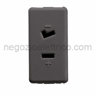 GEWGW21234 PRESA 2P 6A 24V (SELV) POLARIZZATA SY/BK