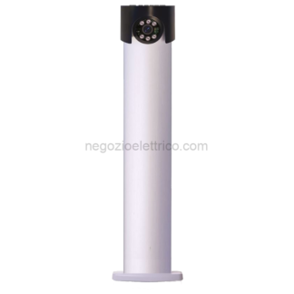 COELPRCAM602A telec ip lpr 2mp, in colonnina