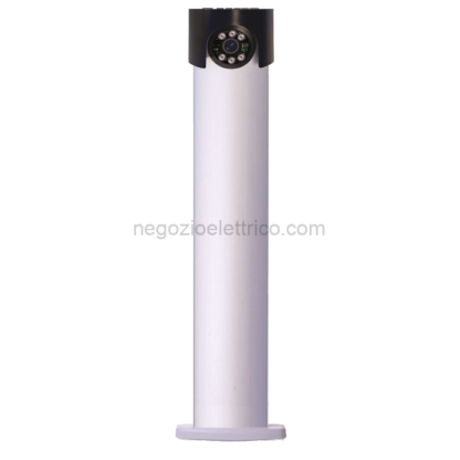COELPRCAM602A telec ip lpr 2mp, in colonnina