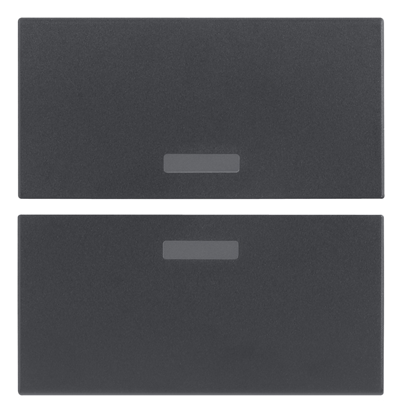 VIWR20842 Due mezzi tasti 2M neutri grigio